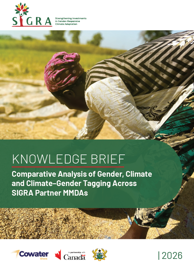 Comparative Analysis of Gender, Climate and Climate-Gender Tagging Across SIGRA Partner MMDAs